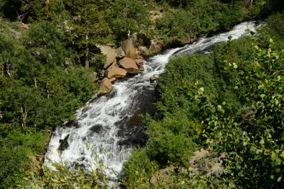 DSC_0062 (Large).JPG